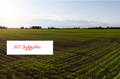 იყიდება 307 ჰა მიწის ნაკვეთი მანავში