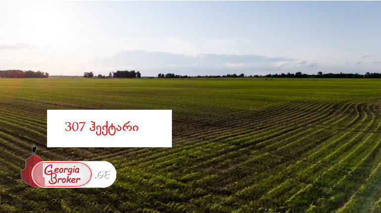 იყიდება 307 ჰა მიწის ნაკვეთი მანავში