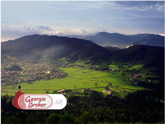 იყიდება არა სასოფლო მიწის ნაკვეთი ბაკურიანში