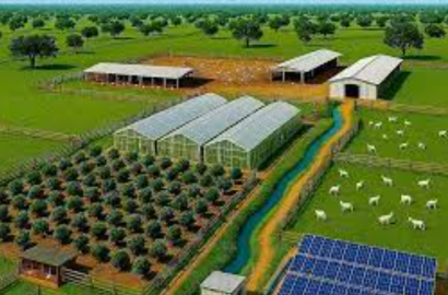 იყიდება სამეურნეო მიწის ნაკვეთი 2000კვ.მ თელეთი