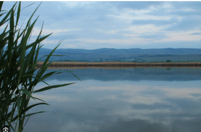 იყიდება სამეურნეო მიწის ნაკვეთი 18.5 ჰა კუმისის ტბაზე(პირველ ზოლში)