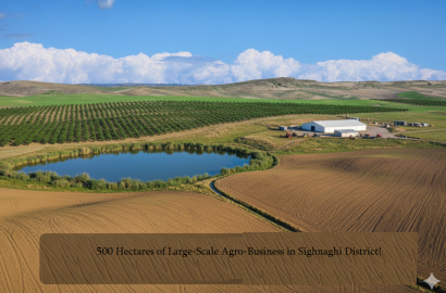 იყიდება 500 ჰა  სამეურნეო მიწის ნაკვეთი სიღნაღის რაიონში