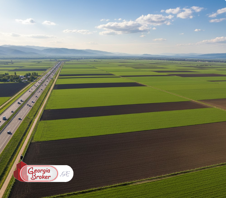 იყიდება  28 ჰა სამეურნეო მიწის ნაკვეთი(გორის ავტობანი)