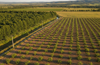 იყიდება სამეურნეო მიწის ნაკვეთი