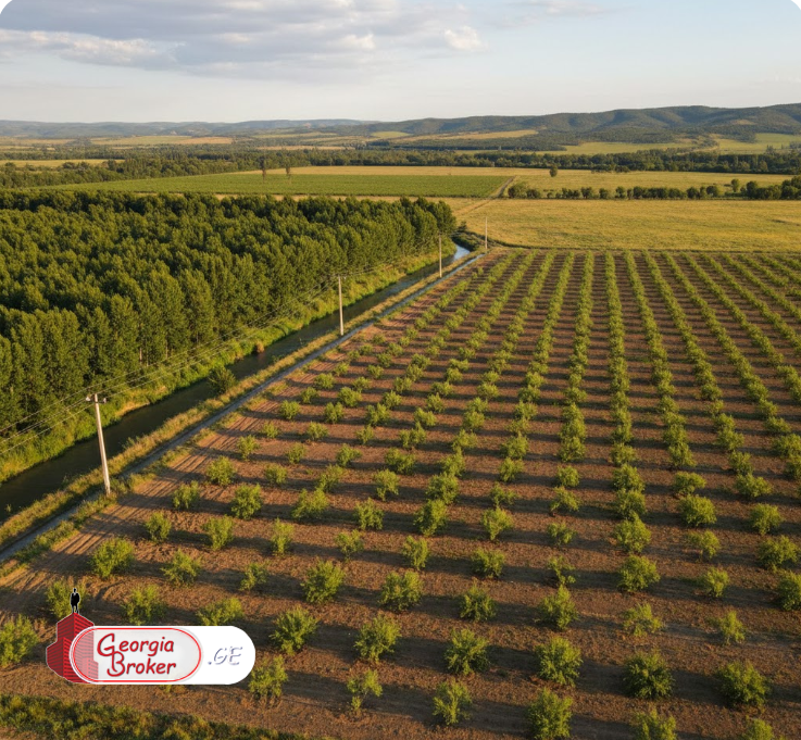 продается сельскохозяйственная Земля