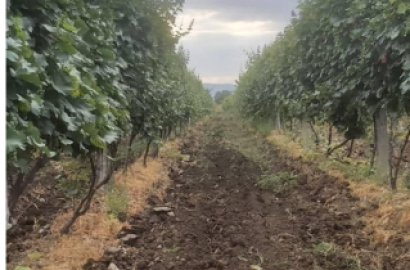 продается сельскохозяйственная Земля