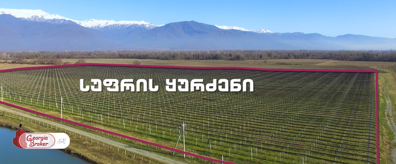 agricultural land for sale