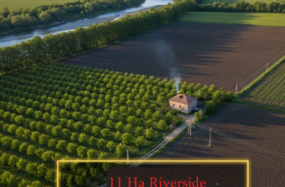 agricultural land for sale