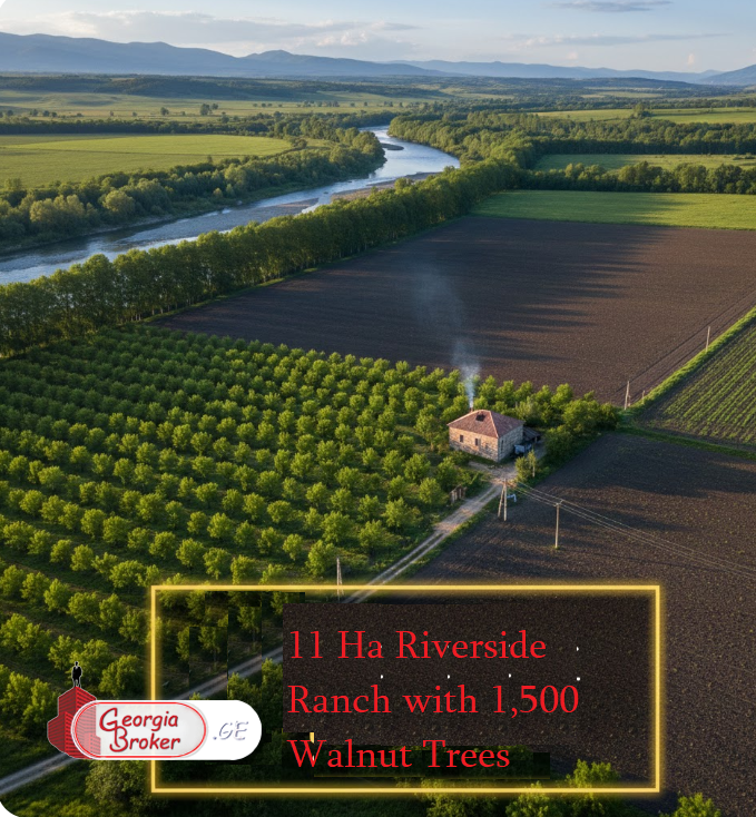 იყიდება სამეურნეო მიწის ნაკვეთი ბოლნისში