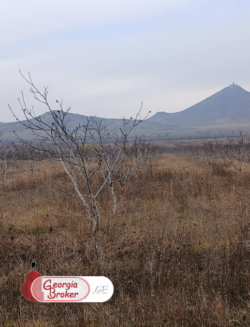 იყიდება სამეურნეო მიწის ნაკვეთი ბოლნისში