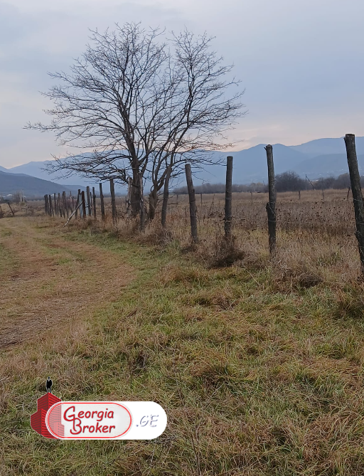 იყიდება სამეურნეო მიწის ნაკვეთი ბოლნისში
