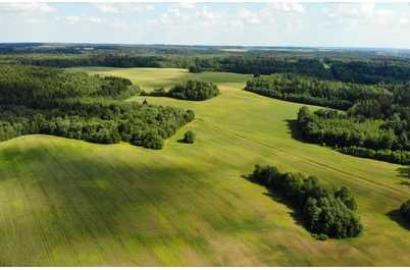 agricultural land for sale