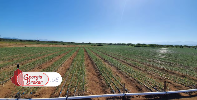 agricultural land for sale