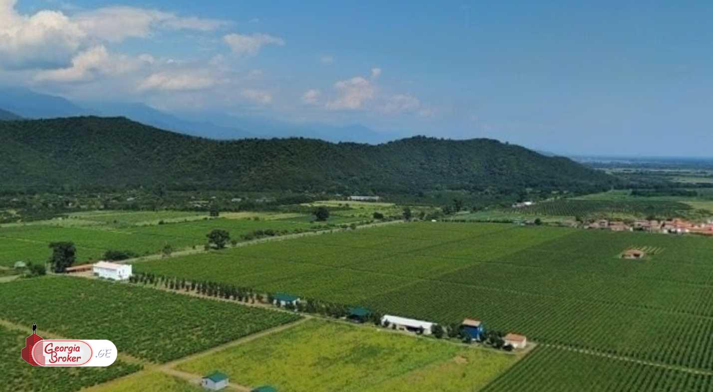 продается сельскохозяйственная Земля