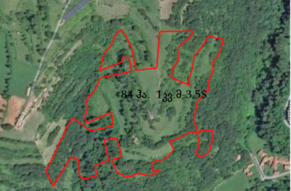 იყიდება 84 ჰა მიწა ორბეთში