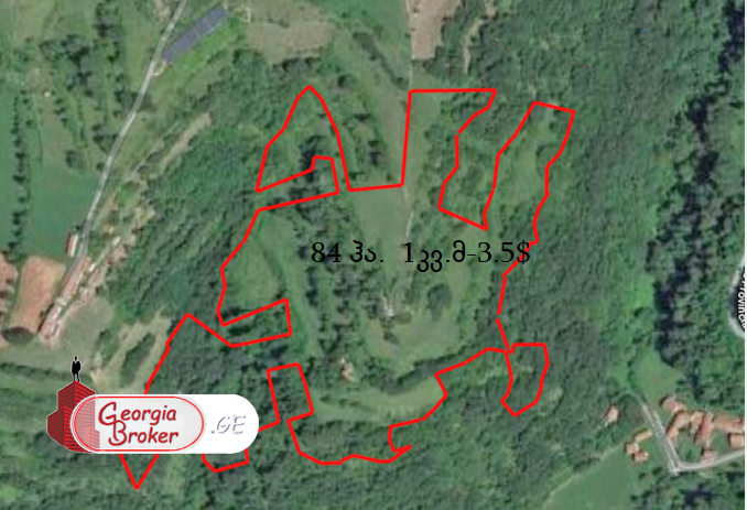 იყიდება 84 ჰა მიწა ორბეთში