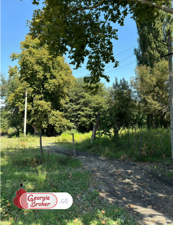 იყიდება  მიწის ნაკვეთი ლაგოდეხში