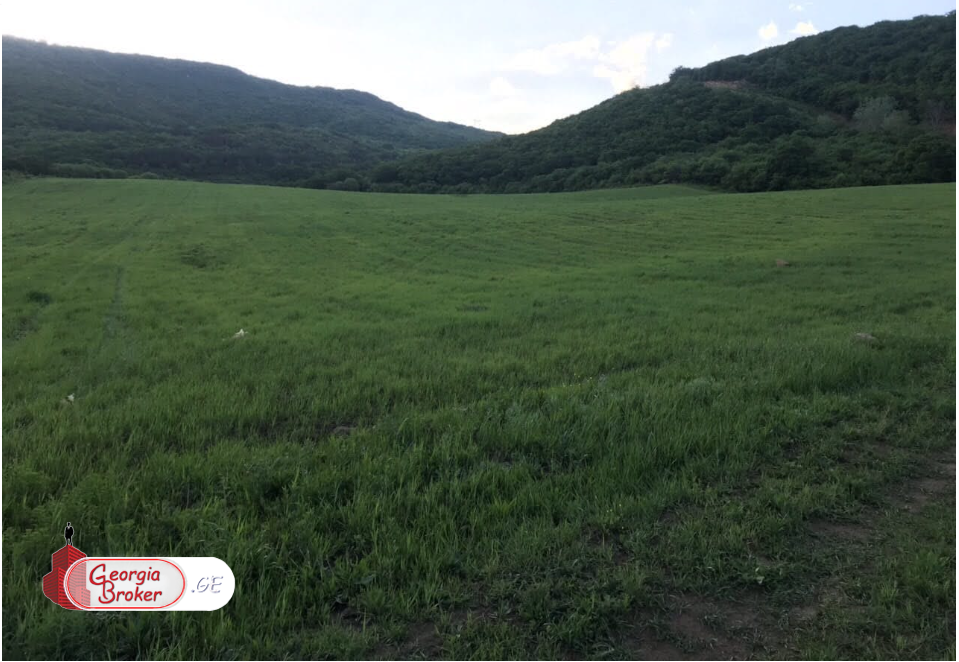 investment land for sale