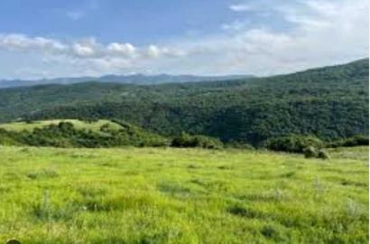 agricultural land for sale