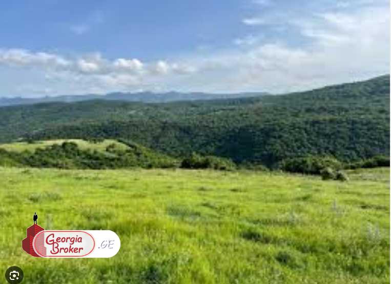 agricultural land for sale