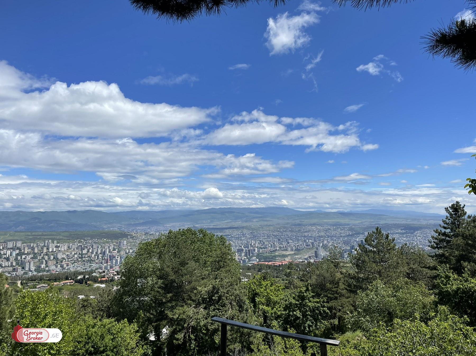 მიწის ნაკვეთი წყნეთში, შეთანხმებული პროექტი