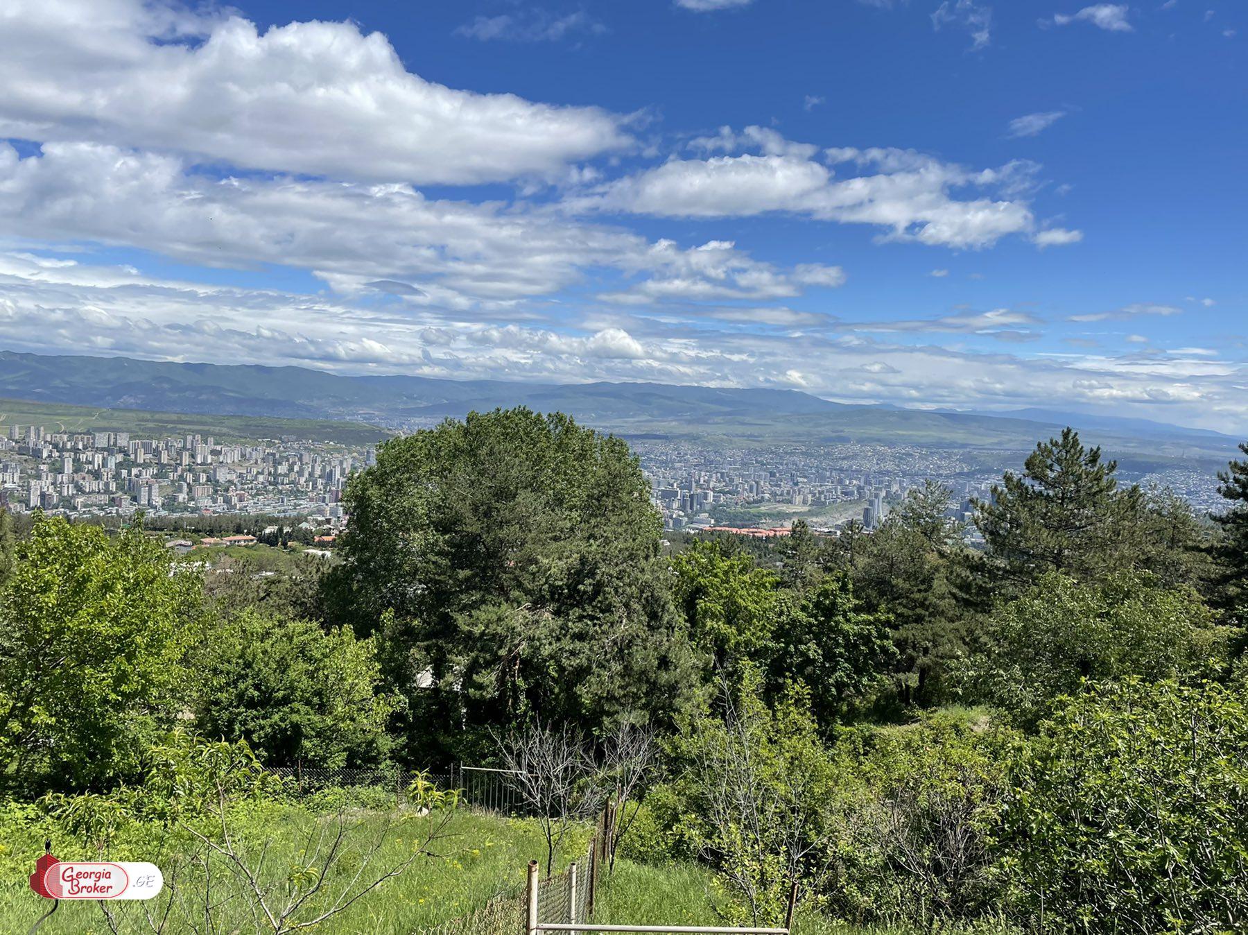 მიწის ნაკვეთი წყნეთში, შეთანხმებული პროექტი