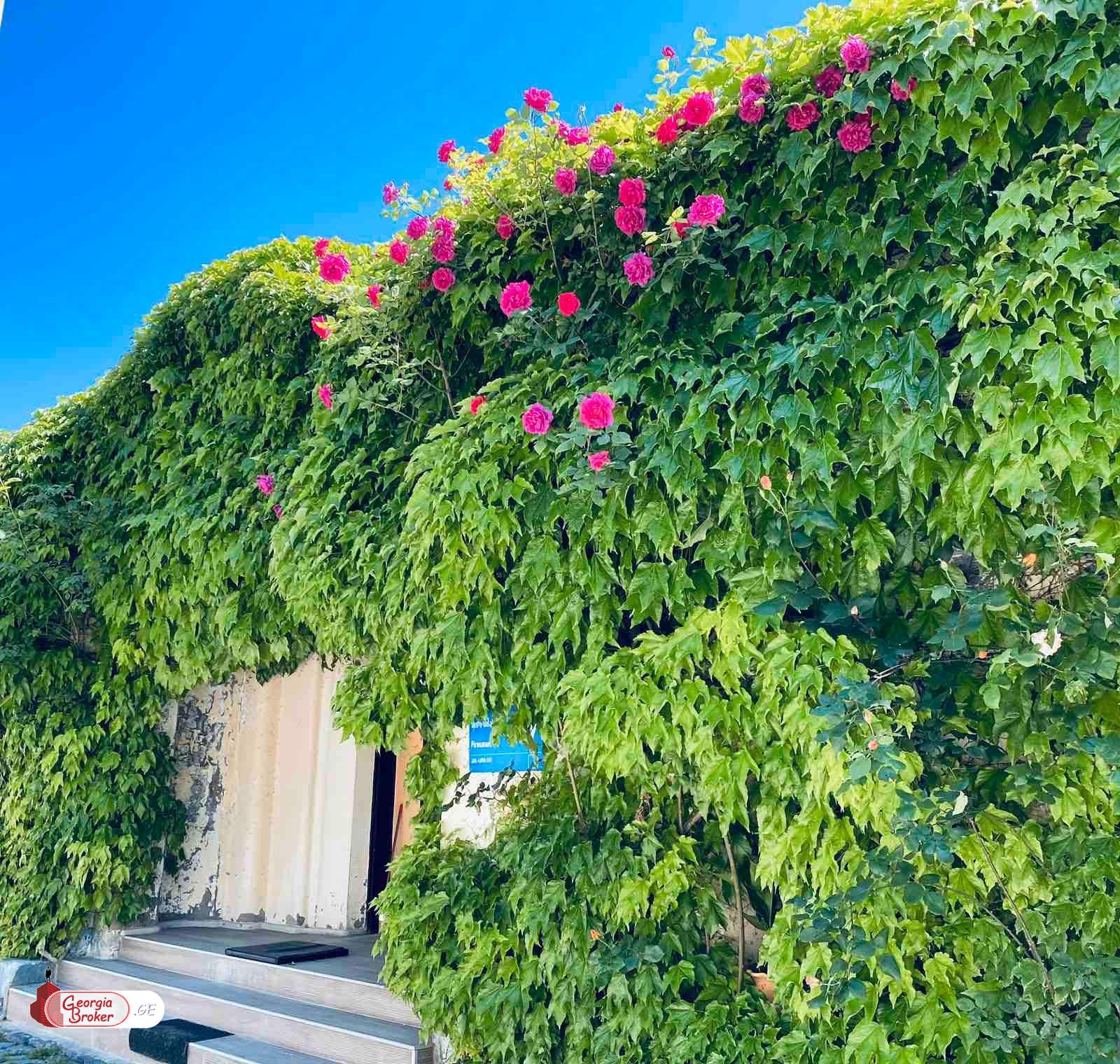 продается дом с новым ремонтом 10-комнат