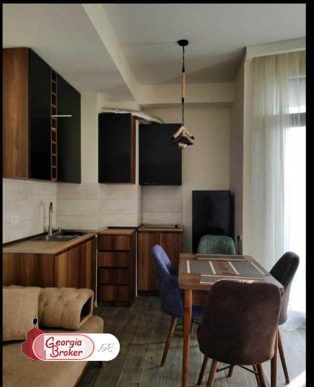 nearly repaired 1-room apartment for rent