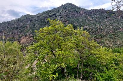 продается дом новостройка 5-комнат