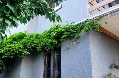 продается дом с новым ремонтом 9-комнат