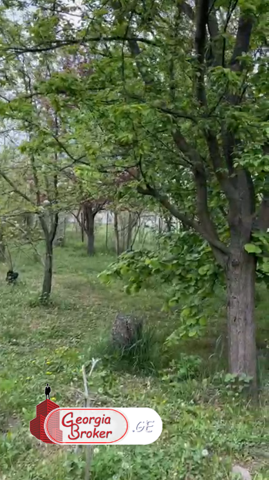 იყიდება ახალი გარემონტებული 5 ოთახიანი სახლი დუშეთის მუნიციპალიტეტში