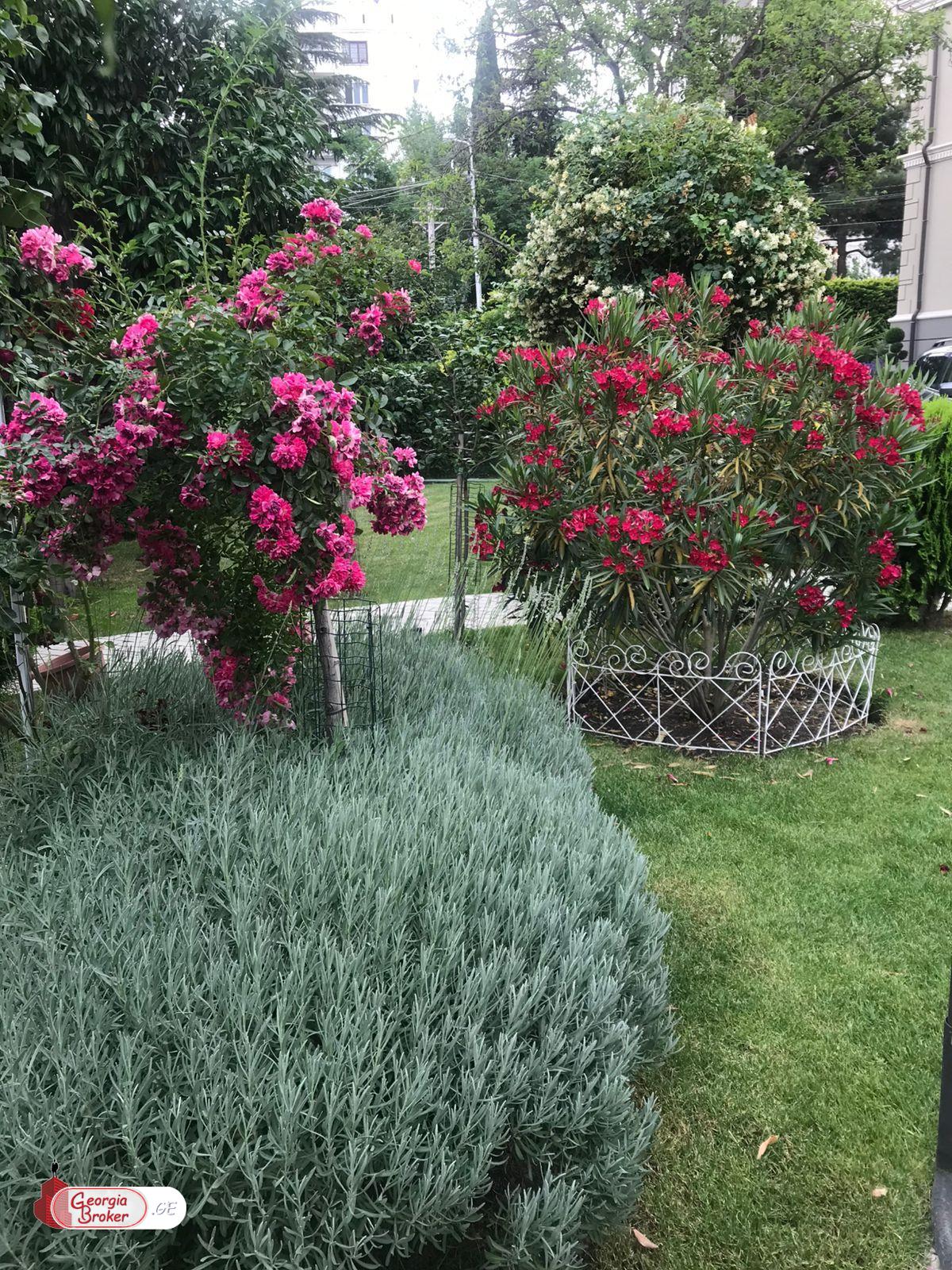 იყიდება ახალი გარემონტებული კომერციული ფართი კრწანისში