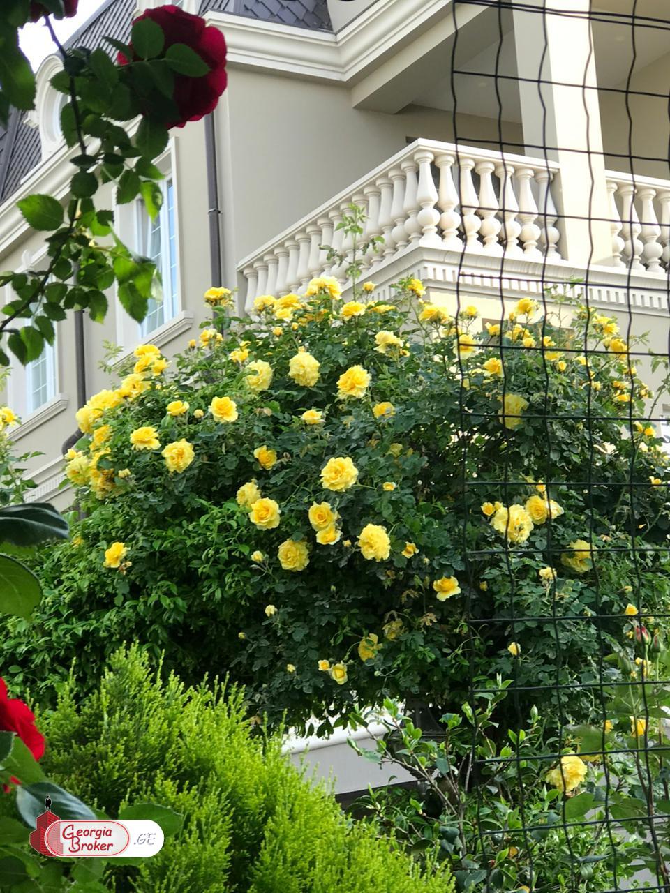 იყიდება ახალი გარემონტებული კომერციული ფართი კრწანისში