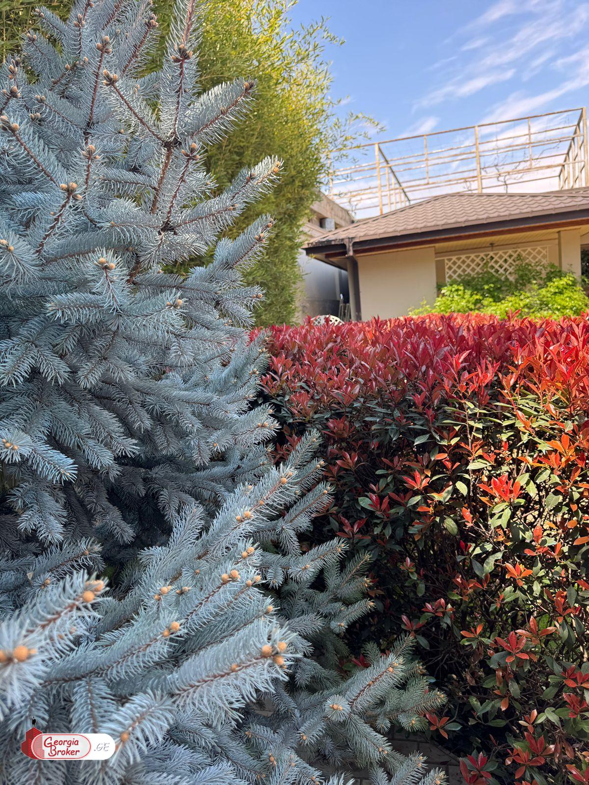 იყიდება ახალი გარემონტებული 12 ოთახიანი სახლი კრწანისში