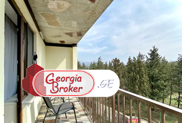 в аренду дом с новым ремонтом 14-комнат