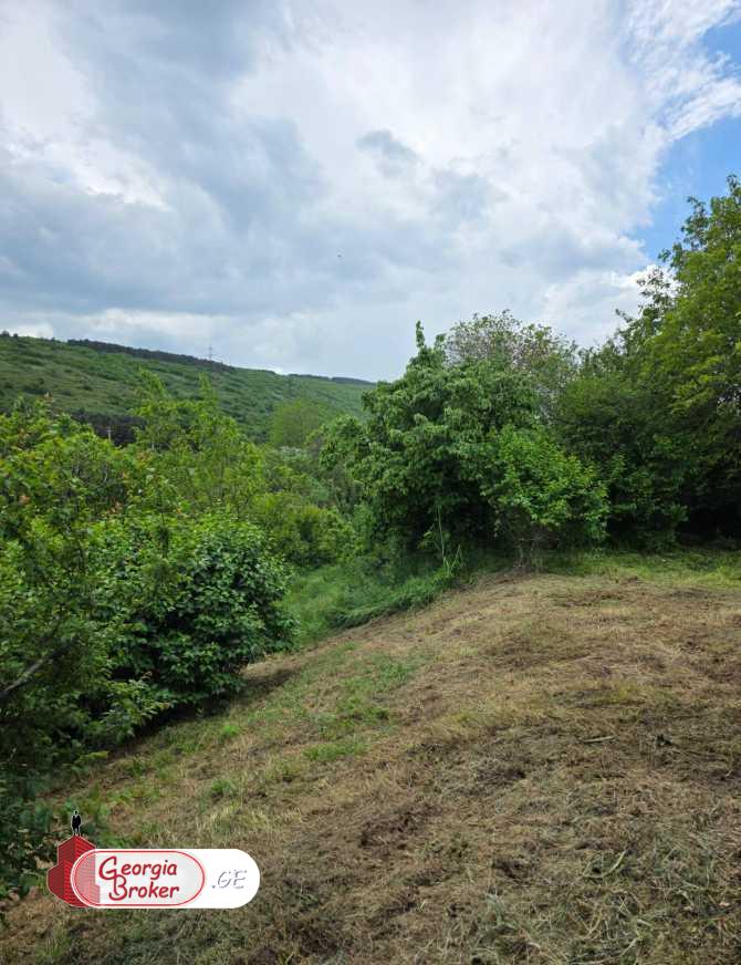 იყიდება ახალი გარემონტებული 5 ოთახიანი სახლი ლისის ტბის მიმდებარედ