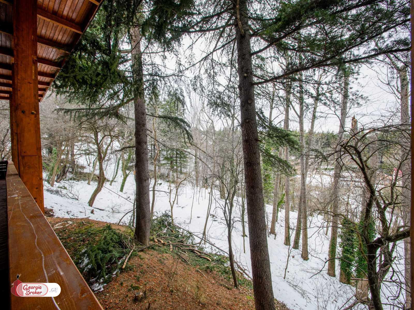 იყიდება ახალი გარემონტებული 10 ოთახიანი სახლი