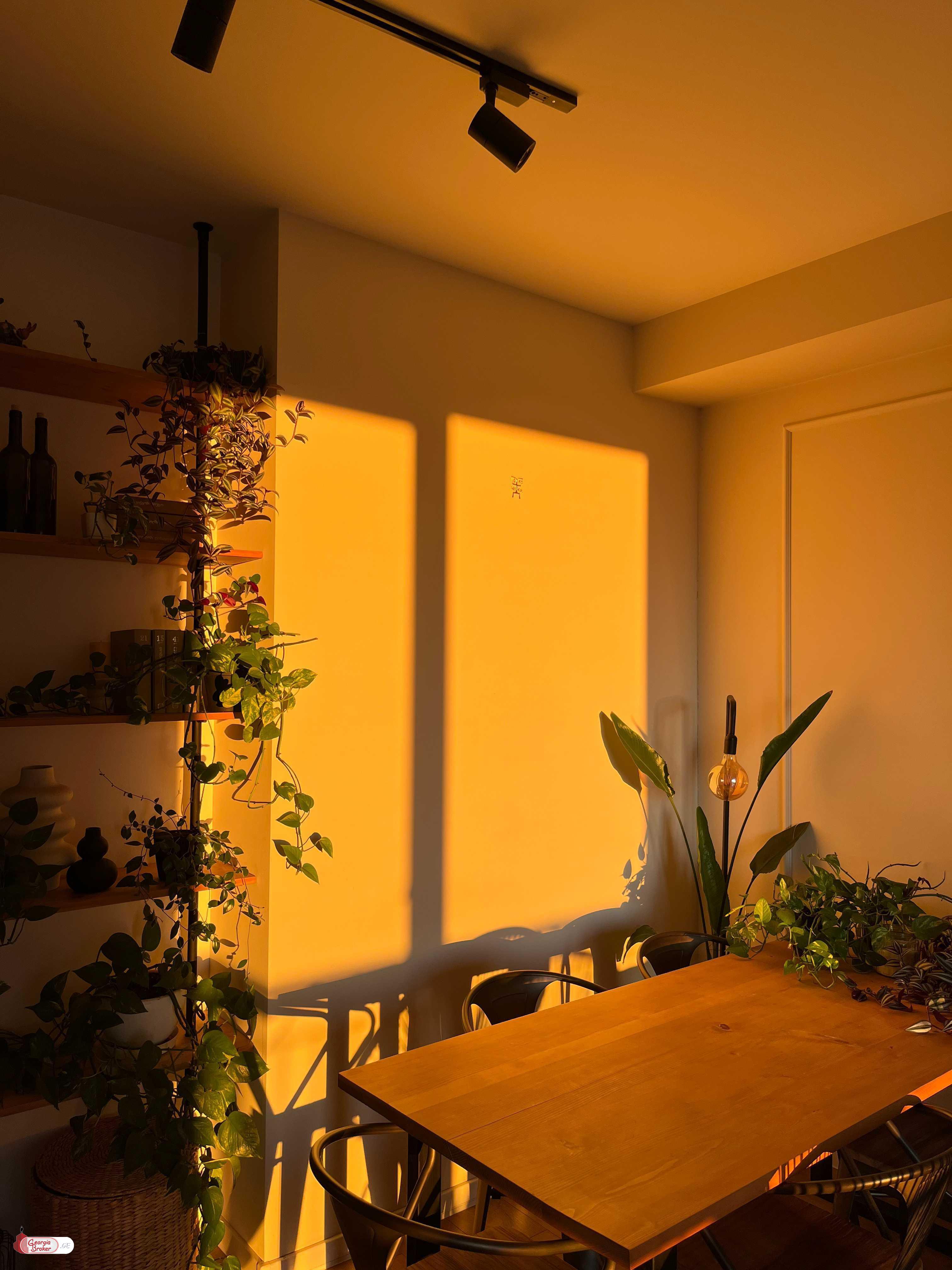 nearly repaired 5-room apartment for sale