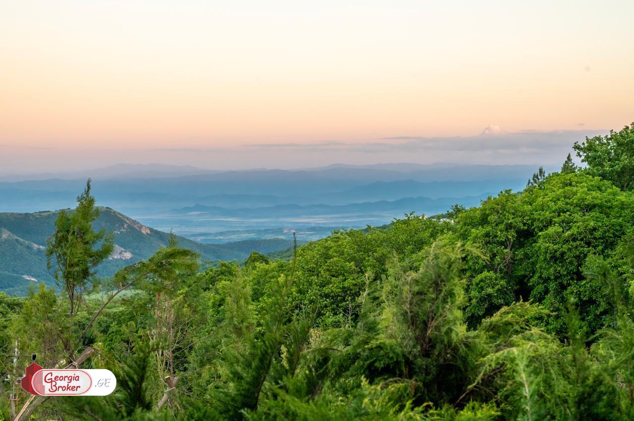 იყიდება ახალი გარემონტებული 10 ოთახიანი სახლი
