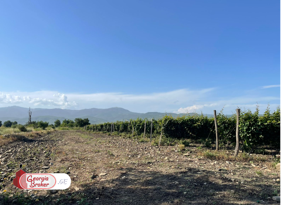 agricultural land for sale