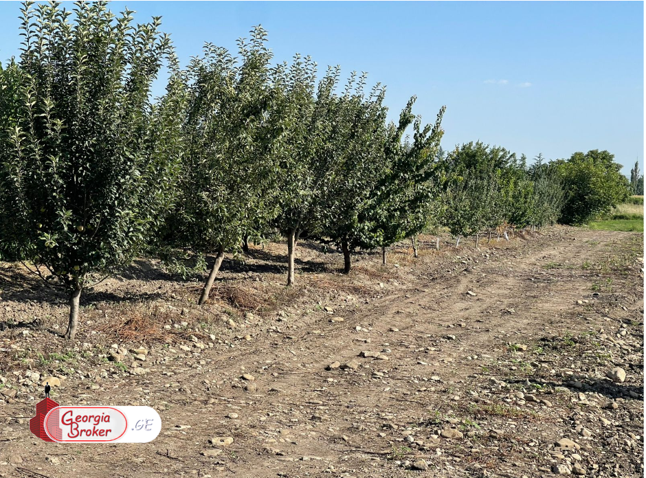 agricultural land for sale