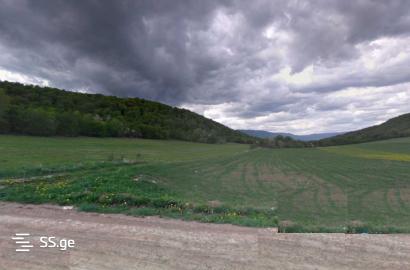 იყიდება სამეურნეო მიწის ნაკვეთი ორბეთში