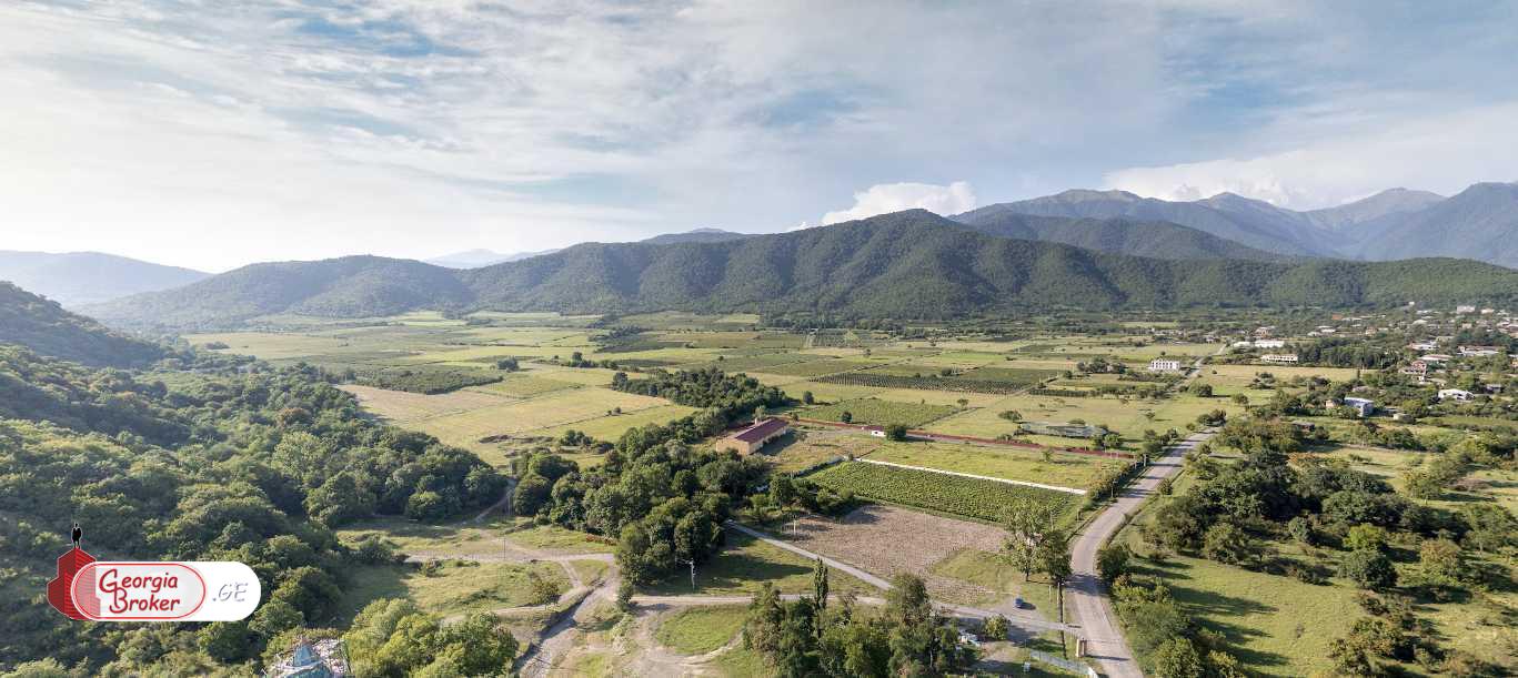 agricultural land for sale