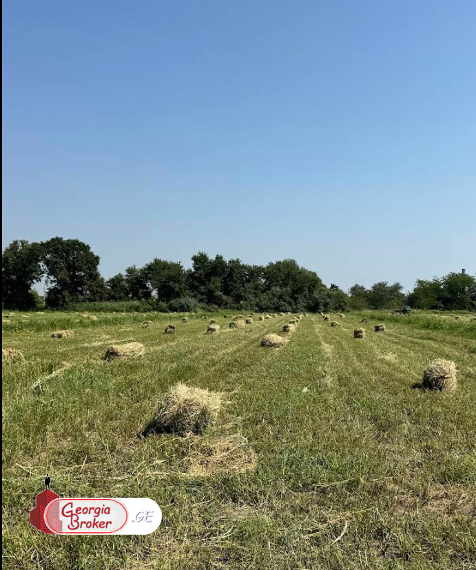 agricultural land for sale