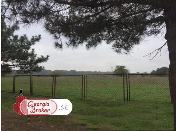 agricultural land for sale