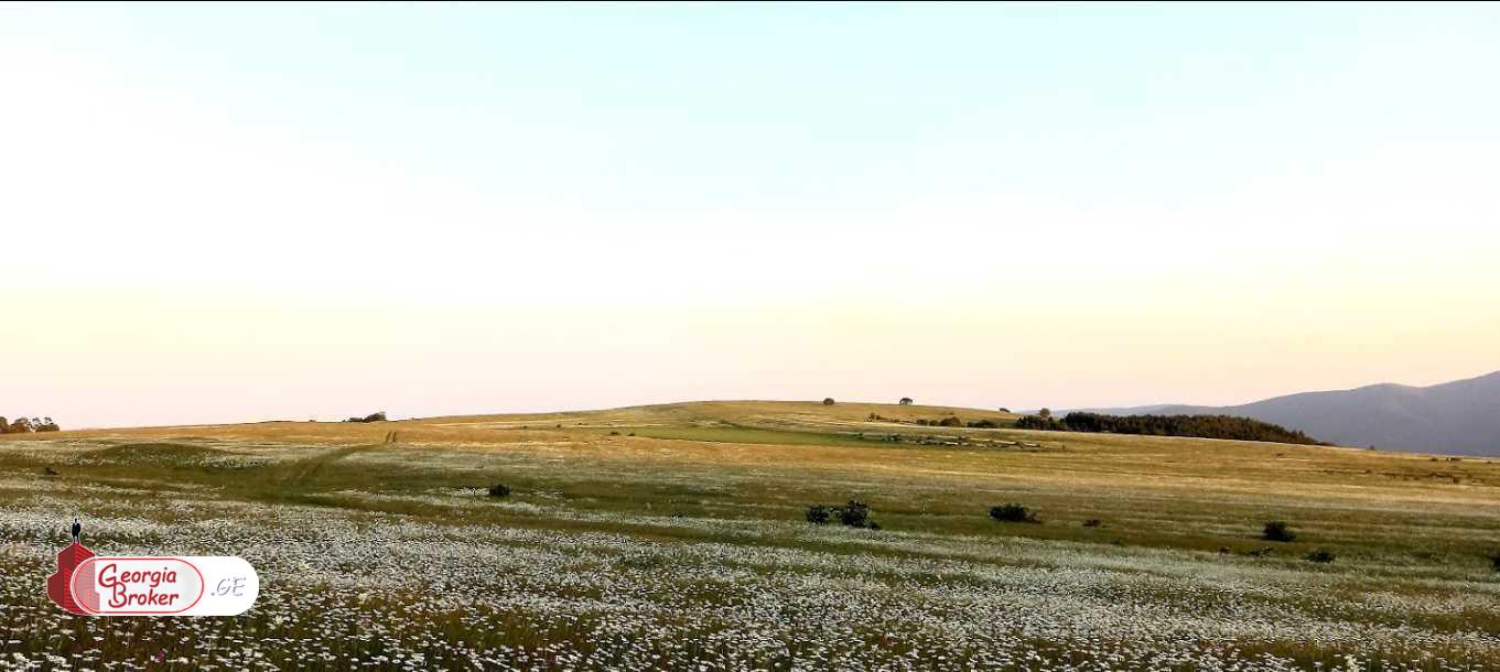 agricultural land for sale