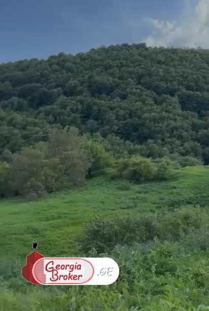 agricultural land for sale