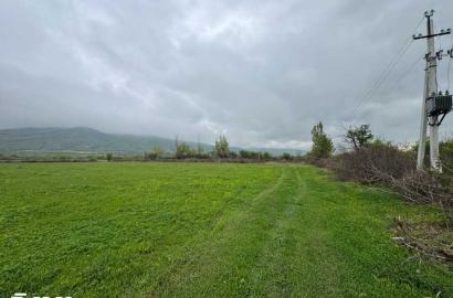 agricultural land for sale