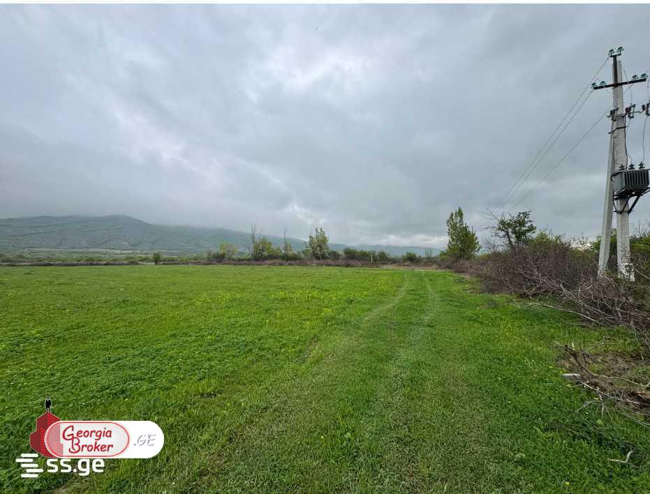 agricultural land for sale