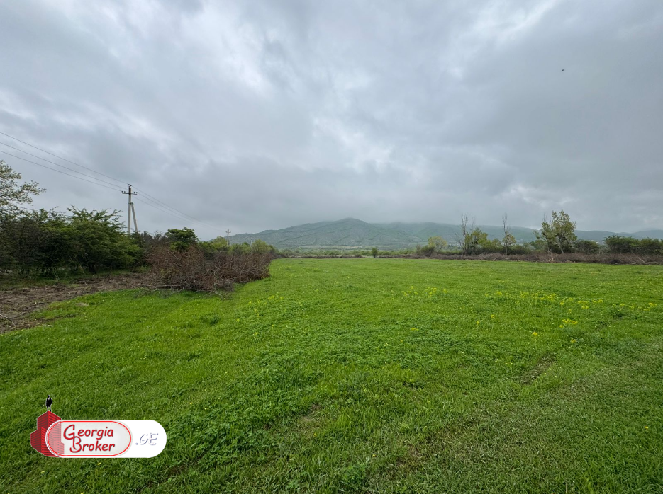 agricultural land for sale